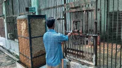 Heat Wave | विदर्भात उष्णतेची लाट, उन्हाची झळ प्राण्यांनाही, महाराजबागेत प्राण्यांसाठी लागले कुलर्स