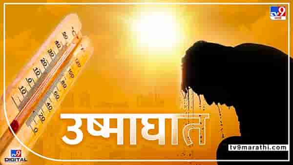 Nashik | उत्तर महाराष्ट्रात 3 दिवस उष्णतेची लाट; विदर्भाचीही होणार लाही लाही...!