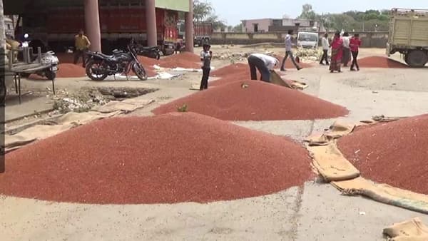 Latur Market : आवक सोयाबीन अन् हरभऱ्याची चर्चा मात्र तुरीची, हंगामाच्या अंतिम टप्प्यात बदलले चित्र?