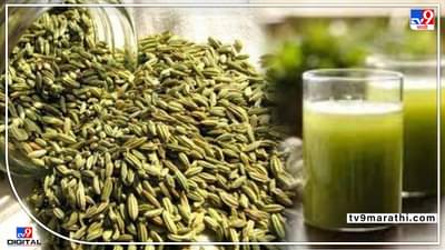 Summer Health Tips : बडीशेपपासून बनवलेलं सरबत आरोग्यासाठी भरपूर लाभदायी, जाणून घ्या कृती आणि फायदे...