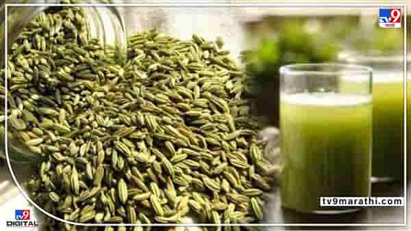 Summer Health Tips : बडीशेपपासून बनवलेलं सरबत आरोग्यासाठी भरपूर लाभदायी, जाणून घ्या कृती आणि फायदे...