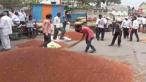Toor Crop : हमीभावापेक्षा दरवाढीवरच शेतकऱ्यांचे लक्ष, सोयाबीनचेच सूत्र तुरीलाही लागू..!