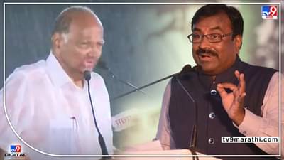 लोकसभेसाठी पवारांनी 24 तास पावसात भिजावं, पावसातल्या सभेवरून मुनगंटीवार आघाडीवर धो-धो बरसले