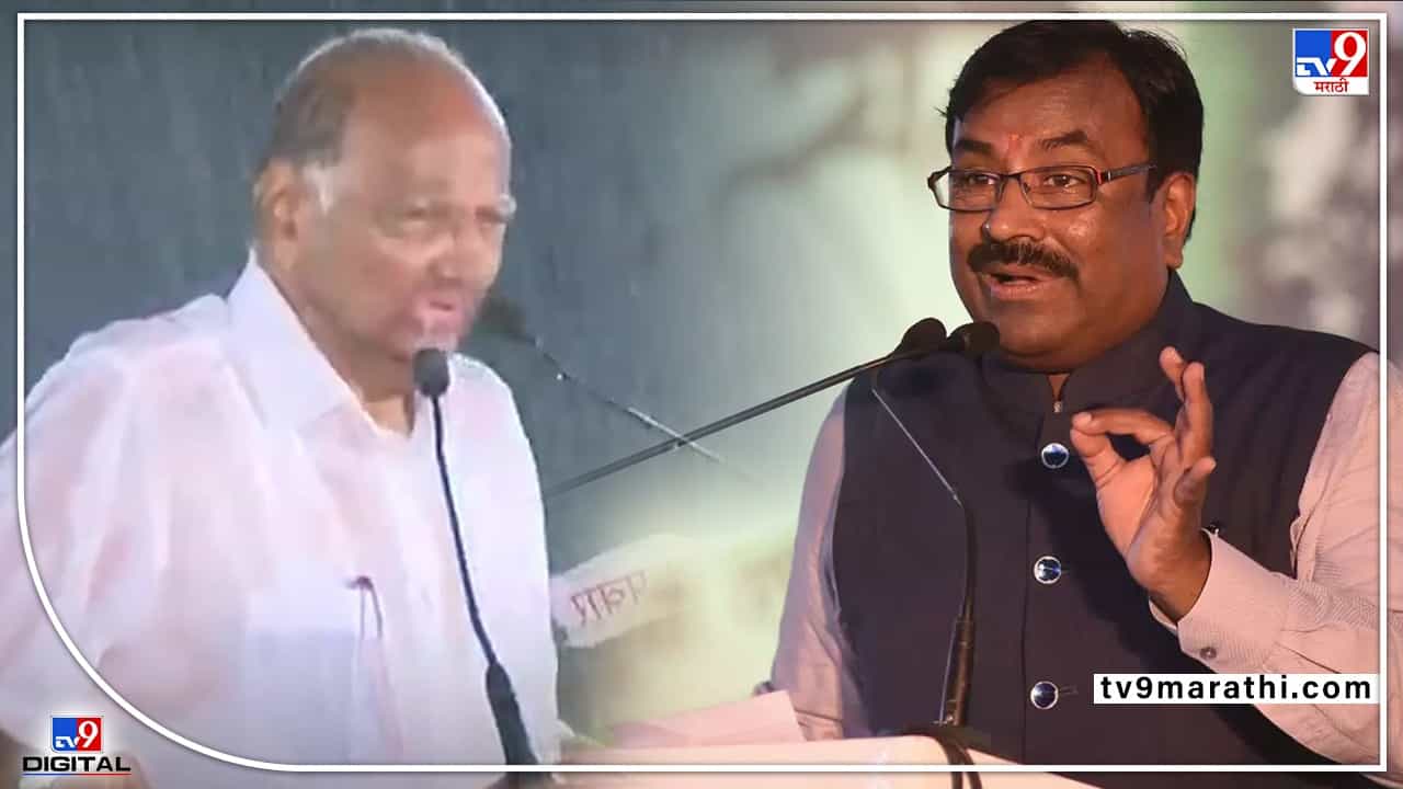 लोकसभेसाठी पवारांनी 24 तास पावसात भिजावं, पावसातल्या सभेवरून मुनगंटीवार आघाडीवर धो-धो बरसले