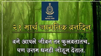 World Forest Day | आज जागतिक वन दिन : वनांची कत्तल केल्यामुळे वन्यप्राण्यांचा मानवाशी संघर्ष?