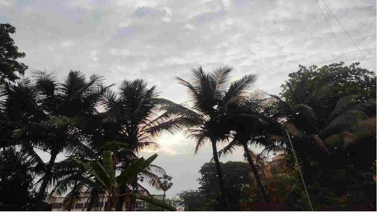 Weather Alert | महाराष्ट्राचं तापमान घसरलं, कोकणात पावसाची शक्यता, काय सांगतोय IMD चा अहवाल?