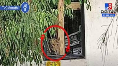 पुण्यामधील Mercedes Benz कंपनीत बिबट्या घुसल्याची माहिती