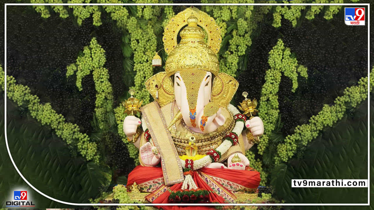 Sankashti Chaturthi : द्राक्षांमध्ये गणराज विराजमान! Dagdusheth Ganpati मंदिरात तब्बल दोन हजार किलो द्राक्षांची आरास