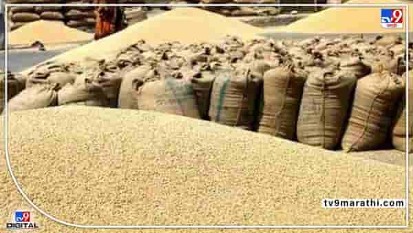 Latur Market : सोयाबीन-हरभरा आवकमध्ये सातत्य, आठवड्याच्या पहिल्या दिवशीचे दर काय ?