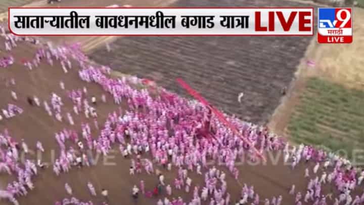 सातऱ्यातील बावधनमध्ये बगाड यात्रेचा उत्साह सातऱ्यातील बावधनमध्ये बगाड यात्रेचा उत्साह