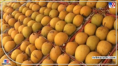 जीआय च्या नावाखाली बनावट शेतीमालाची विक्री केल्यास जेलची हवा, पणन संचालकाचे काय आहेत निर्देश?