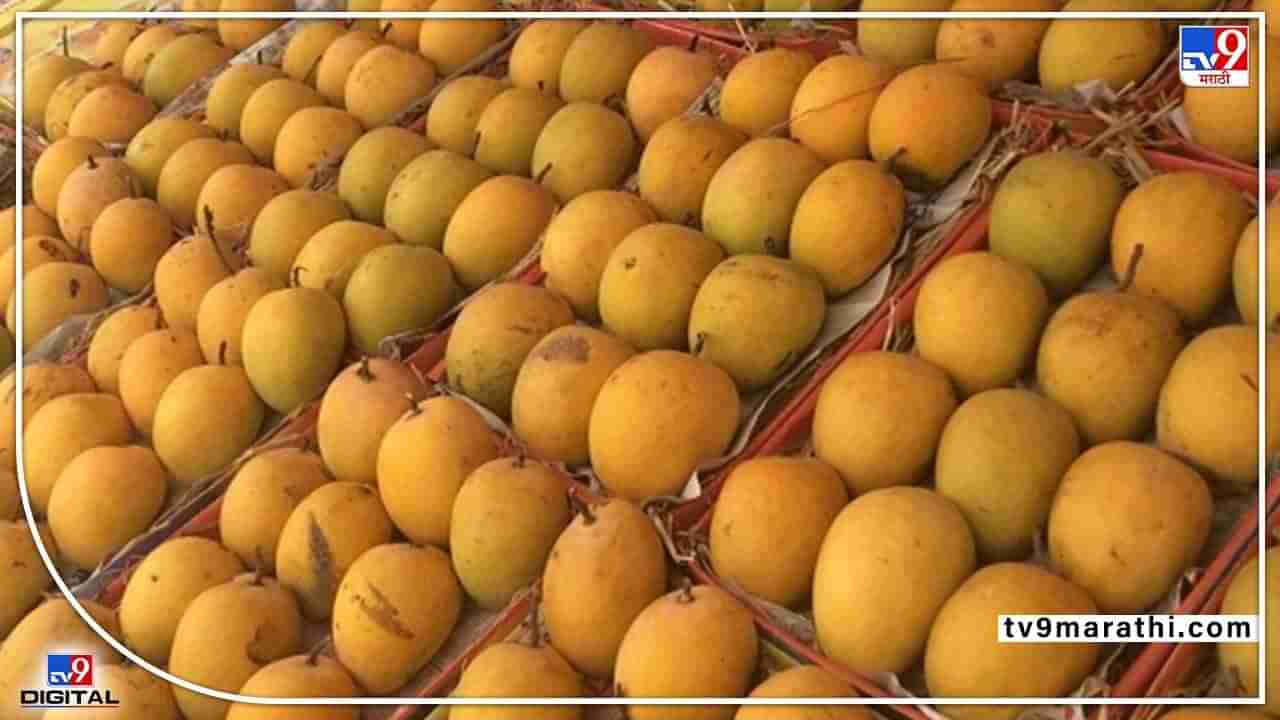 Mango Export : अडचणींवर मात करीत फळांचा राजा परदेशात, हंगामात प्रथमच लेट पण थेट England ध्येच निर्यात