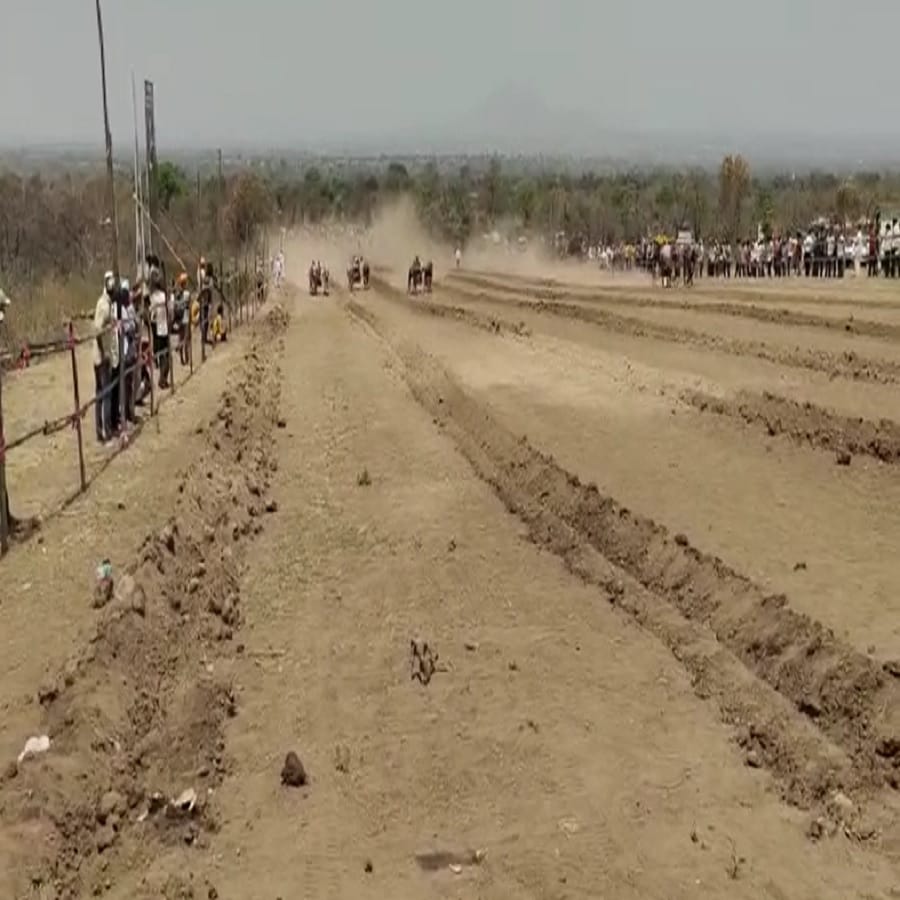 राज्यात प्रथमच एका महिलेने बैलगाडी शर्यतीचे आयोजन केले असून शर्यत जिंकणाऱ्या बैलगाड्यांना एकुण पाच तोळे सोने सात चांदीच्या गदा बक्षिस म्हणून दिले जाणार आहे.