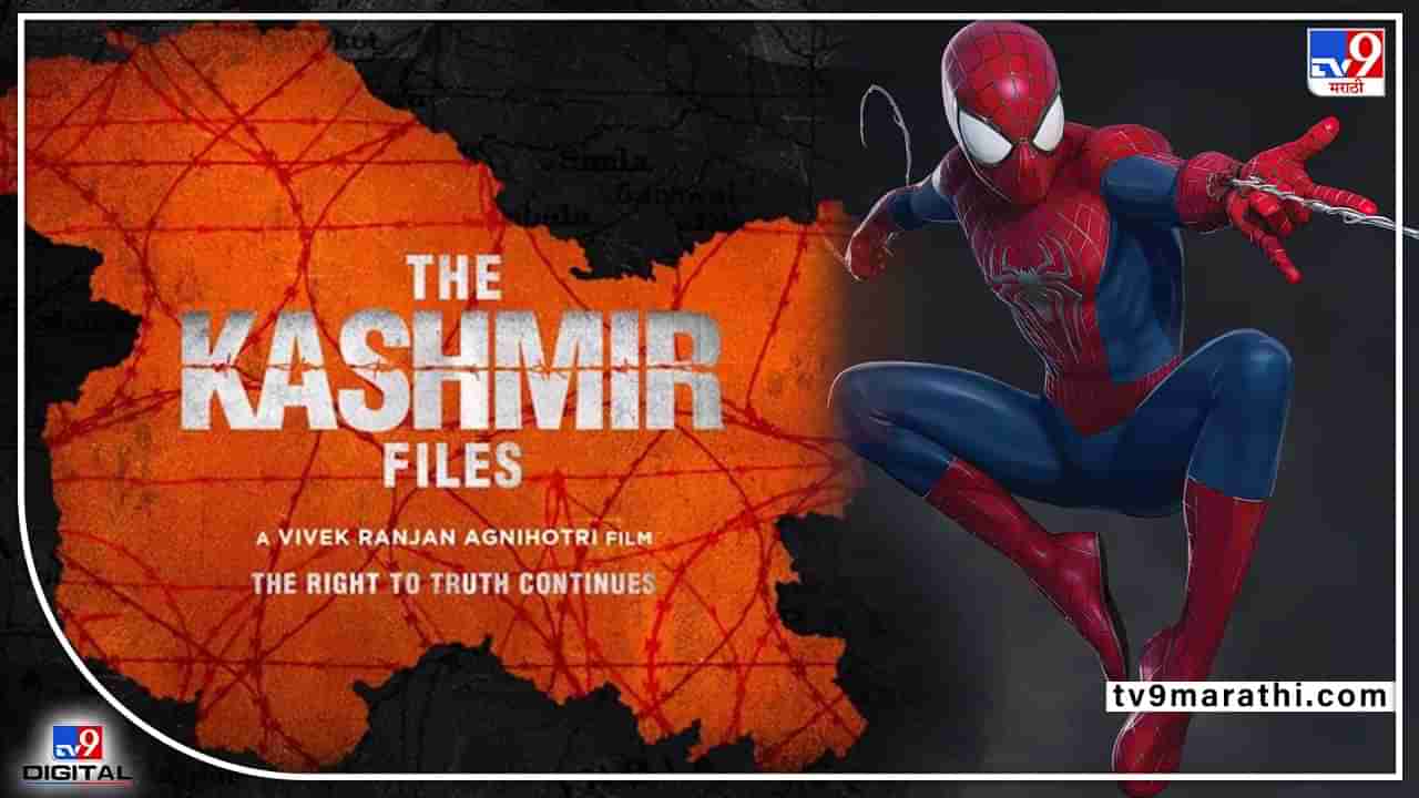 बॉलिवूडच नाही तर हॉलिवूडलाही पछाडलं; 200 कोटी पार केलेल्या The Kashmir Filesचा असाही विक्रम!