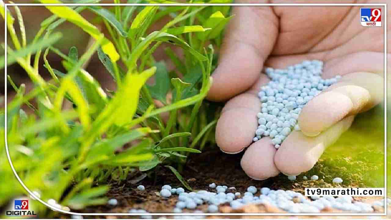 Chemical Fertilizer : सरकारच्या एका निर्णयात खरीप-रब्बीचा प्रश्न मिटणार, साठेदरांवर मात्र अतिरिक्त बोजा