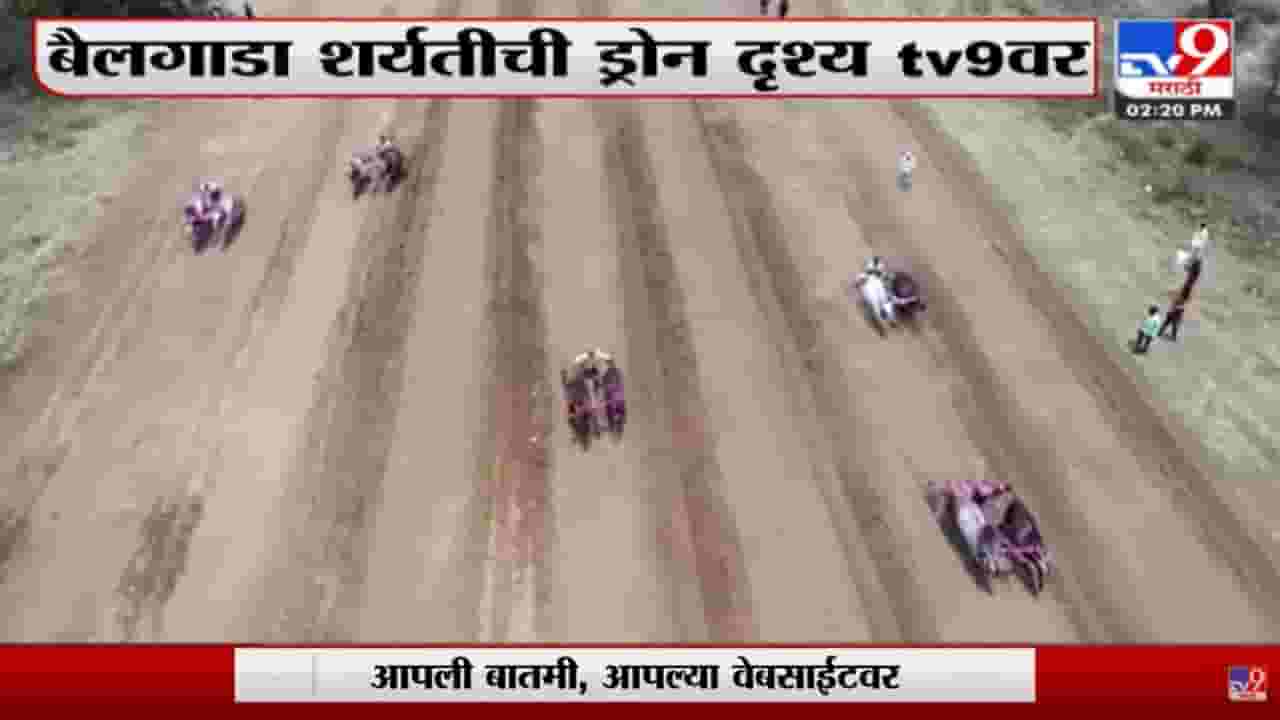 Satara : देगावमध्ये बैलगाडा शर्यतीचा थरार, महिलेनं आयोजित केली स्पर्धा