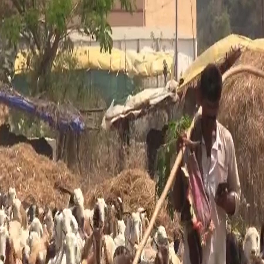 रोजगाराच्या शोधात सध्या काही कुटुंबे ग्रामीण भागातील परिसरात दाखल झाले आहेत. मूळ राजस्थानातील असलेले हे कुटुंब जिल्ह्यात पाण्याचा शोधात दरवर्षी हजारो मैल गाठत उन्हाळ्याच्या सुरुवातीला जिल्ह्यात येत असतात.