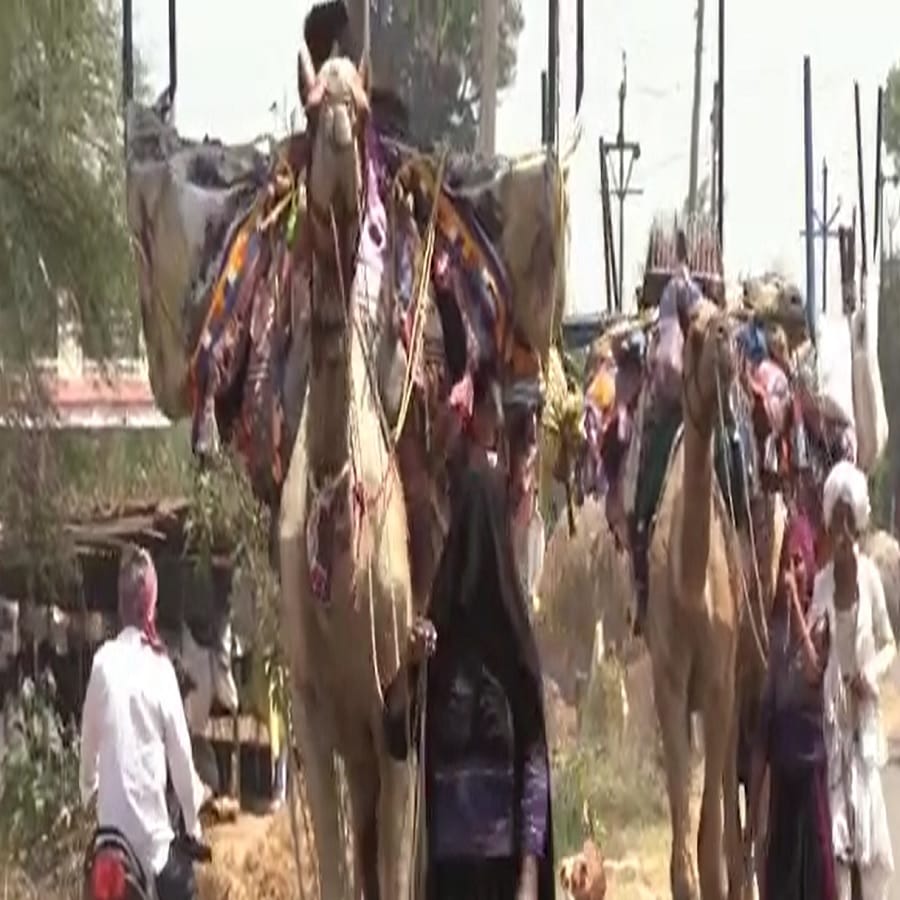 उन्हाळा जवळ आल्याने सूर्य आग ओकताना आपण सर्वांच जर अनुभवत आहोत. हवामान खात्याकडून अनेक ठिकाणीचे तापमान अजून तापण्याची शक्यता वर्तवण्यात आली आहे. असे असतानाच राजस्थानातील काही कुटुंब भंडारा जिल्ह्यात आले आहेत.