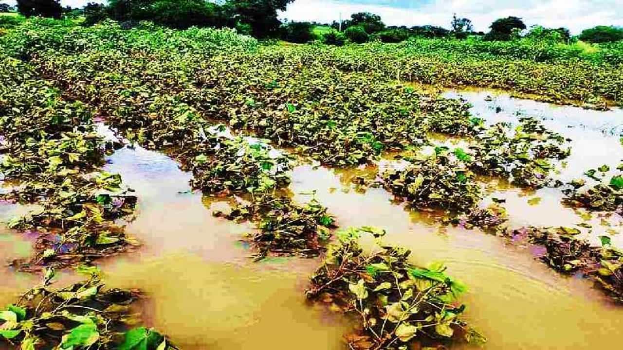 State Government: खरिपापूर्वीच बदलणार मदतीचे निकष, नुकसानभरपाईत नेमक्या त्रुटी काय?