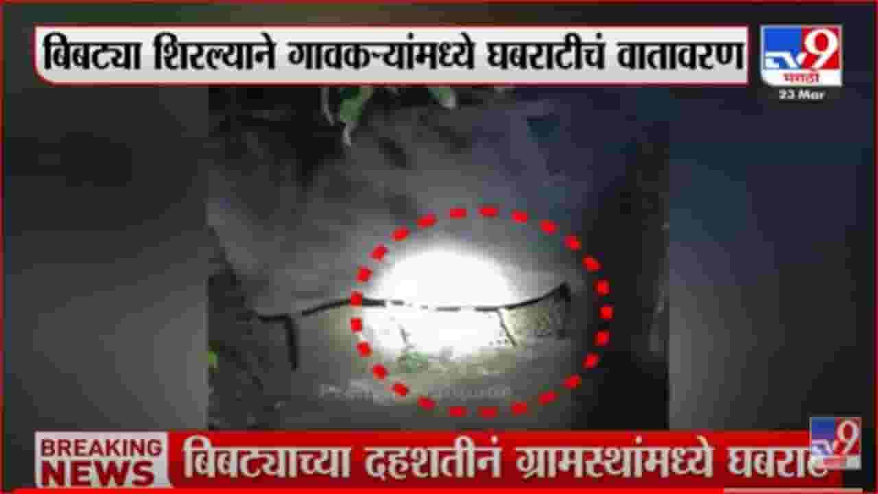 मायंगडेवाडीमध्ये बिबट्याचे दर्शन, ग्रामस्थांमध्ये दहशतीचे वातावरण मायंगडेवाडीमध्ये बिबट्याचे दर्शन, ग्रामस्थांमध्ये दहशतीचे वातावरण