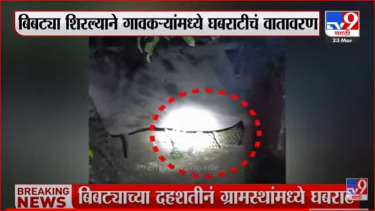 मायंगडेवाडीमध्ये बिबट्याचे दर्शन, ग्रामस्थांमध्ये दहशतीचे वातावरण मायंगडेवाडीमध्ये बिबट्याचे दर्शन, ग्रामस्थांमध्ये दहशतीचे वातावरण
