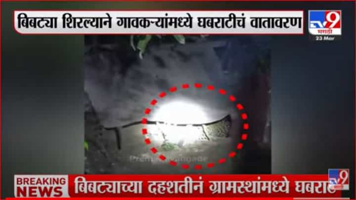 मायंगडेवाडीमध्ये बिबट्याचे दर्शन, ग्रामस्थांमध्ये दहशतीचे वातावरण मायंगडेवाडीमध्ये बिबट्याचे दर्शन, ग्रामस्थांमध्ये दहशतीचे वातावरण