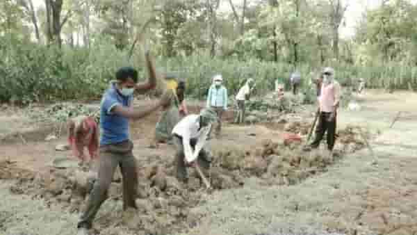 Bhandara : रोहयो चा उद्देश साध्य, भंडाऱ्यातील 85 हजार मजुरांच्या हाताला मिळाले काम