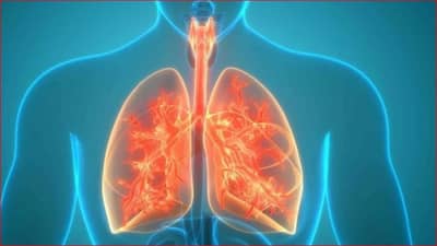 World TB Day : 24 मार्चला जागतिक क्षयरोग दिन का साजरा केला जातो?