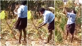 विजेशिवाय चालते ‘ही’ Treadmill! आता घरीच व्यायाम करा आणि पैसेही वाचवा, Jugaad Video viral