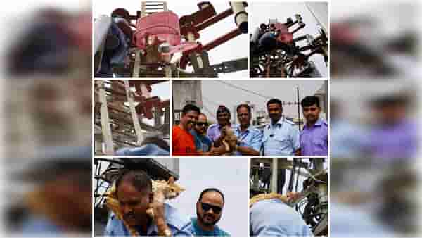 Pune : छतावरच्या 30 फुटी टॉवरवर अडकली होती मांजर, अनोखी शक्कल लढवत अग्निशामक दलानं केली सुटका; पाहा Video