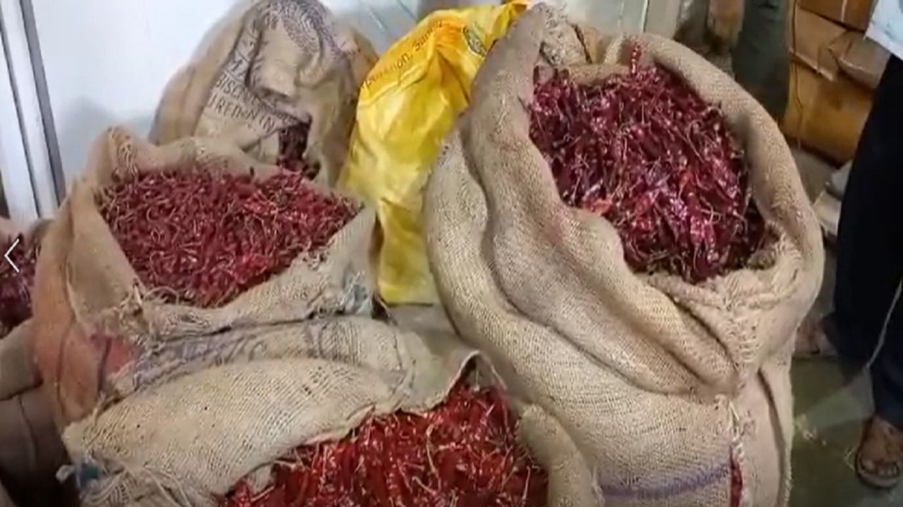 Red Chilies Prices increased : अवकाळी पावसामुळे मिरची उत्पादनात घट, दरामध्ये यावर्षी जवळपास शंभर रूपयांनी वाढ