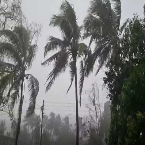 हवामान विभागाने अवकाळी पावसाचा अंदाज वर्तवला आहे.