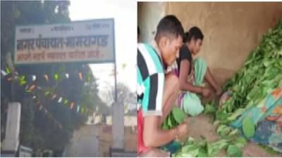 Gadchiroli | भामरागडच्या प्रशासकाला हायकोर्टाची नोटीस, आठ ग्रामसभा अवैध कशा ठरविल्या?