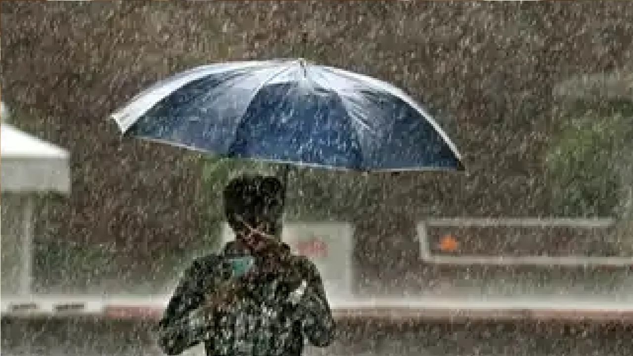 Monsoon Alert : यंदा मोसमी पाऊस तळकोकणात लवकरच दाखल ; 17 ते 19  मे या कालावधीत पुण्यासह 13 जिल्ह्यांना यलो अर्लट