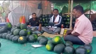 Hapus Mango : नुकसानीनंतरही फळांच्या ‘राजा’चा तोरा कायम, स्थानिक बाजारपेठेत हापूस दाखल..!