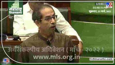 Uddhav Thackeray | महिनाभर दाऊद एके दाऊदच, सरकारनं काय केलं लक्षच नाही, मुख्यमंत्र्यांचा विरोधकांवर पलटवार
