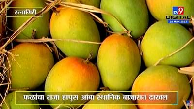 Hapus : स्थानिक बाजारात आंबा 15 दिवस उशिरानं दाखल, भाववाढीमुळे खवय्यांना पाहावी लागणार वाट