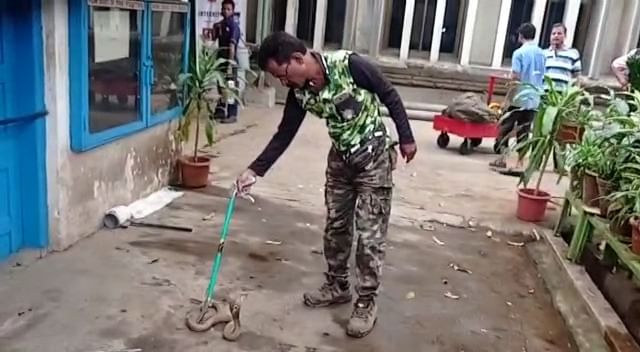 Kalyan Snake Rescue : कल्याणमध्ये सर्पमित्रांकडून एकाच दिवशी चार सापांची सुटका