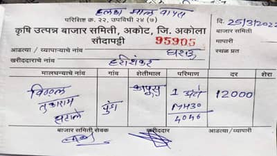 Cotton Rate | अकोट बाजार समितीत कापसाला विक्रमी भाव, कापसाला मिळाला 12 हजार रुपये Rate