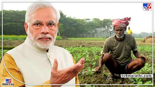 Fact Check : काय सांगता? Kisan Credit Card वर आकारले जाणार नाही व्याज..! सरकारची बाजू समजून घ्या अन् गैरसमज दूर करा