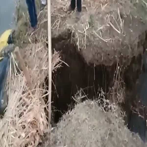 मातीच्या भरावाला भगदाड जायकवाडी उपविभागाअंतर्गत येणाऱ्या या कॅनॉलचा भराव पाण्याच्या दाबाने फुटल्याने भरावाच्या माध्यमातून पाण्याची वहिवाट तर झाली पण दरम्यानच, भराव हा मातीचा असलाने वाघाळा येथील शेतकरी जयराम नवले यांच्या शेतावजवळच मातीचा भराव हा फुटला. भरावाचे पाणी थेच नवले यांच्या शेतामध्ये घुसले