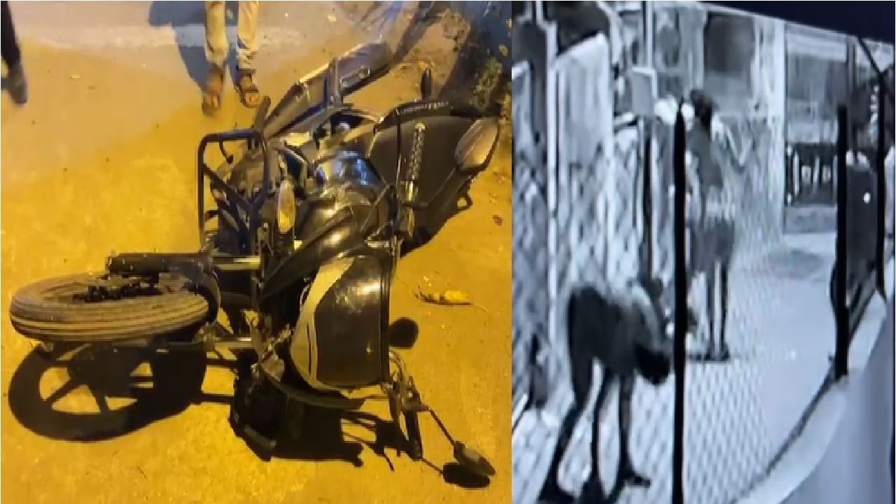 CCTV | Vasai मध्ये बाईकस्वाराला अडवून नशेखोरांची दादागिरी; बेदम मारहाण, दुचाकीही फोडली