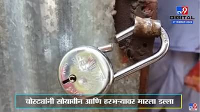 Nanded : सोयाबीन दर वाढीची अपेक्षा शेतकऱ्यांना मोबदला चोरट्यांना, भाव वाढताच शेतीमालावरच डल्ला