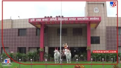 पिंपळगाव बाजार समितीच्या एका निर्णयाचा हजारो शेतकऱ्यांचा फायदा, समितीमधील व्यवहारात आता नियमितता