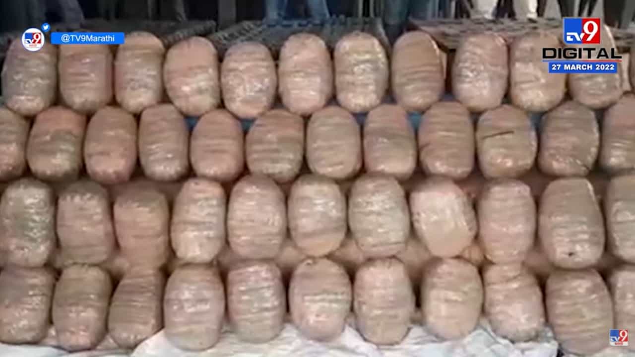 Chandrapur : आंतरराज्यीय गांजा तस्करांना अटक, 33 लाखांचा गांजा जप्त