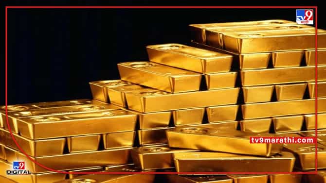 Golden Sparrow | भारत पुन्हा सोने की चिडिया, यंदा 20 हजार किलो सोन्यासाठी होणार खोदाखोदी; प्रकरण काय?