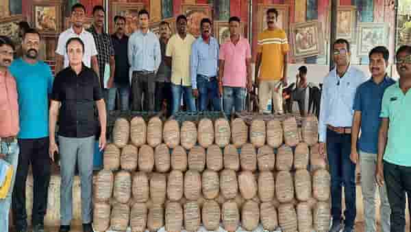 Chandrapur Crime | दोन गांजा तस्करांना अटक, 33 लाखांचा गांजा जप्त, स्थानिक गुन्हे शाखेची कारवाई