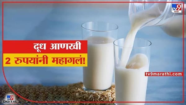 महंगाई डायन खाए जात है...जळगाव जिल्हा संघाचे विकास गोल्ड दूध महाग
