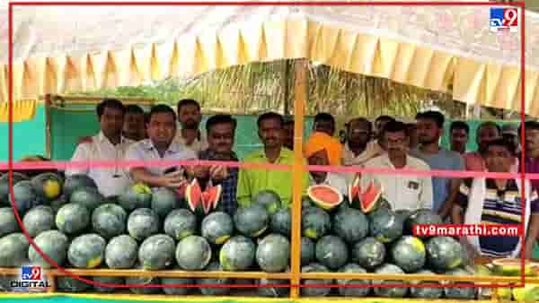 बीडच्या शेतकऱ्यानं करुन दाखवलं, अधिकच्या फायद्यासाठी Market च ताब्यात घेतलं
