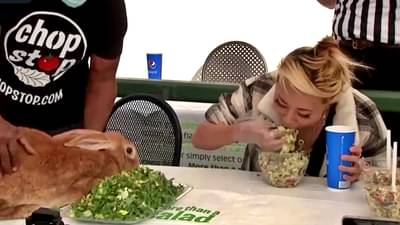 सॅलड खाण्याची स्पर्धा तीही सशांबरोबर! कोण जिंकलं? भन्नाट Challenge video पाहाच